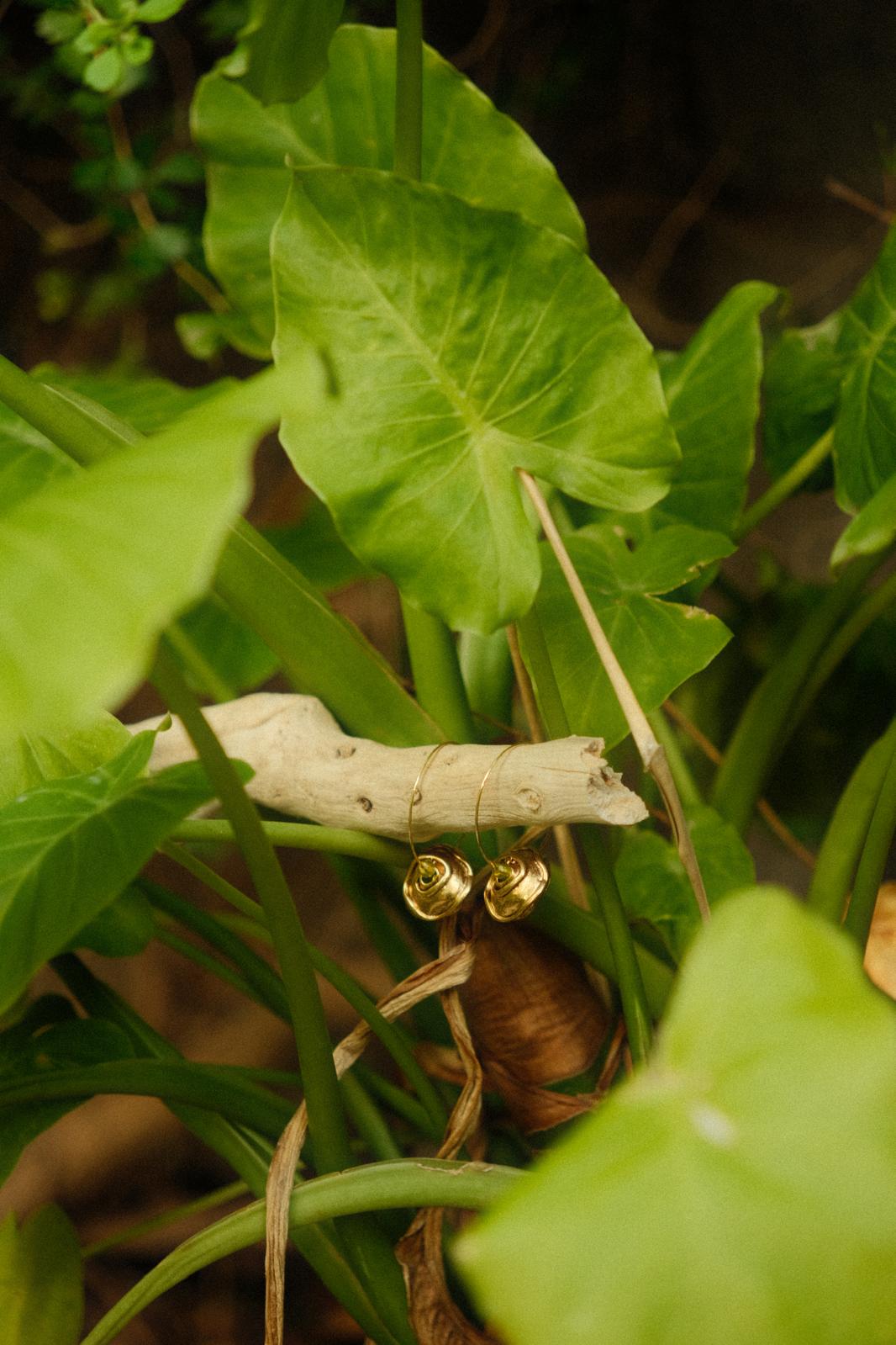 עגיל על ענף