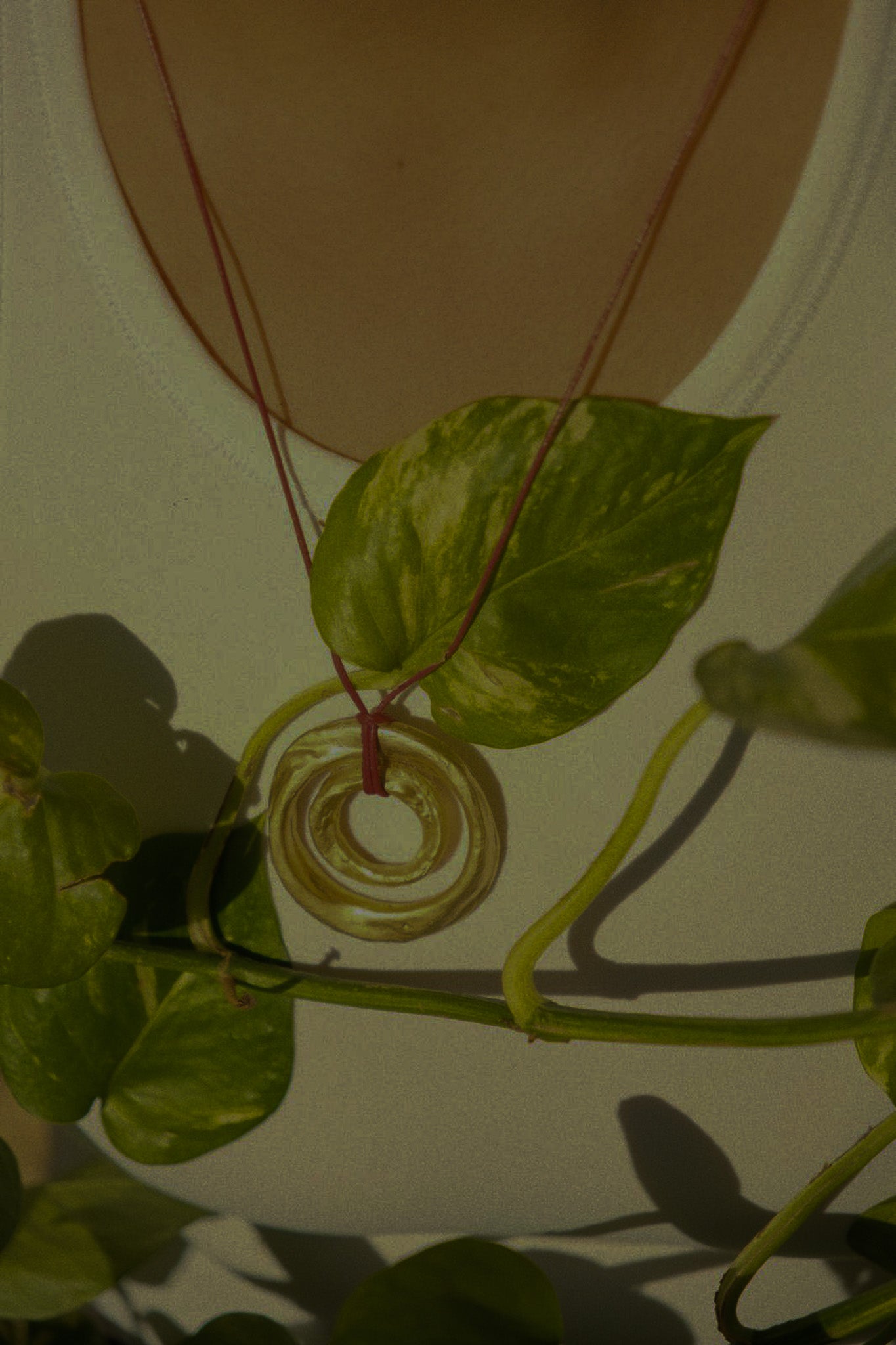 Circle Within Necklace