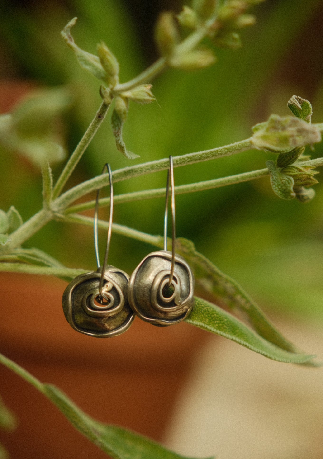 Silver Eyes Earrings