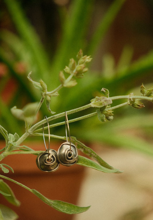 Silver Eyes Earrings