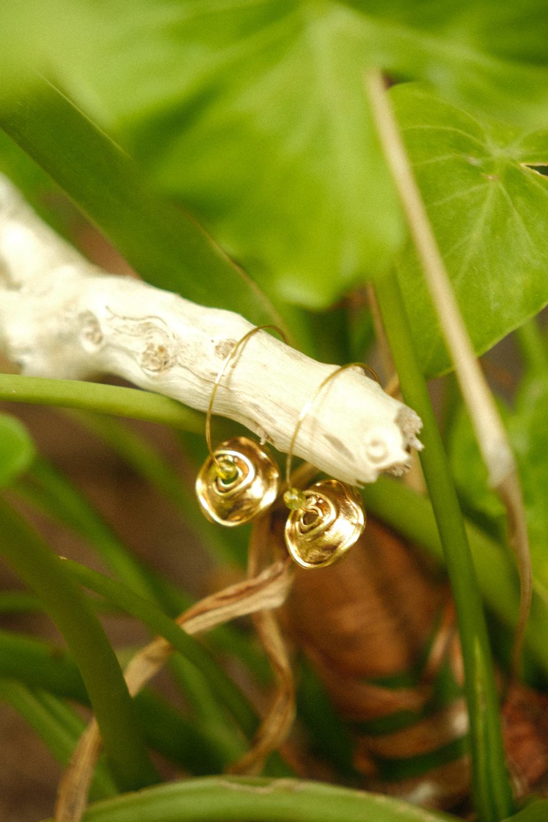 עגיל על ענף