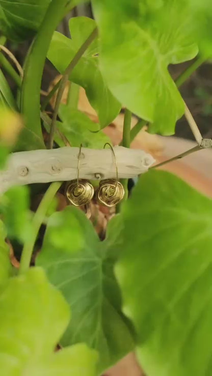 עגיל על ענף